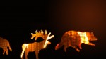 Fire Spirits, photograph by Leha Carpenter