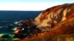 Bodega Head, painting