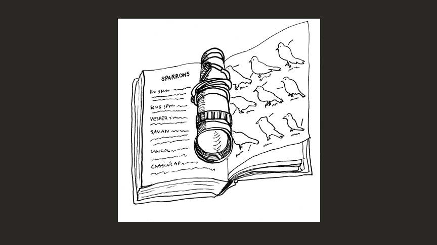 Notes from Afield, sketch