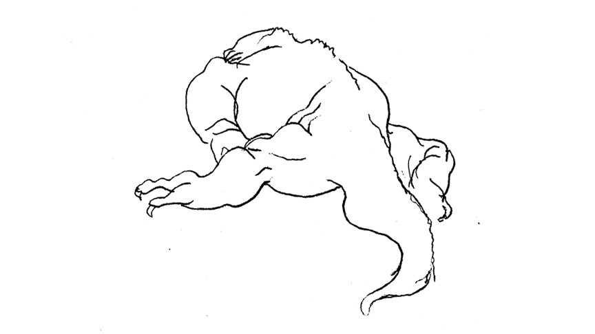 Iguana, drawing by Leha Carpenter