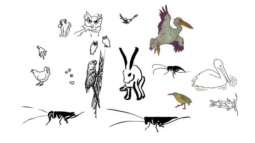 Animals, drawings by Leha Carpenter